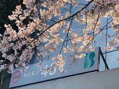 -上海南浦大桥长途旅游客运站