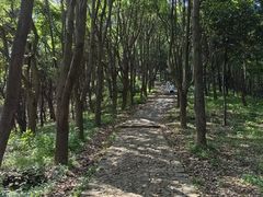 -雨花胜境