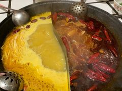 -朱光玉火锅馆(正弘城店)