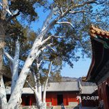 法海寺壁画的精美可与莫高窟比肩