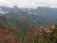 -秦岭天竺山景区