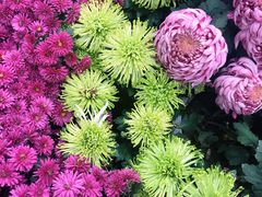 -毛氏汽水包(山海关路店)