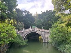 -上海醉白池公园