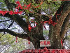 -神光山国家森林公园