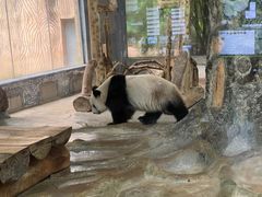 -海南热带野生动植物园