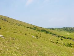 -大姆山草场