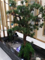 点击看大图 -芳朵美容养生SPA