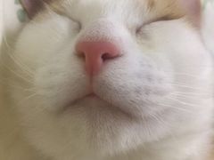 -自由港KTV(王子公主金平店)
