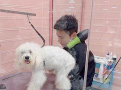 -FAELING PETS美天灵宠物(合生汇店)