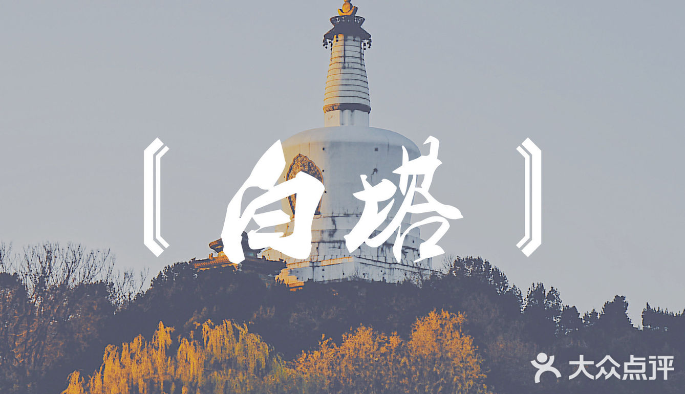 体验好但没回本 | 南航快乐飞用后感✈️