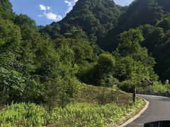 -陕西省红河谷森林公园