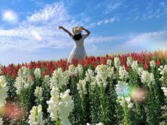 -径山花海