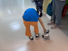 -童程童美·信息学竞赛·机器人编程·少儿编程(大钟寺校区)