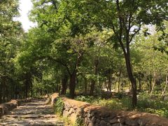 -阳台山自然风景区