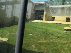 -上方山森林动物世界