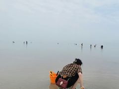 -北海金海湾红树林生态旅游区