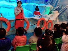 -帝企鹅自助餐厅•儿童岛•真企鹅(长隆企鹅酒店)