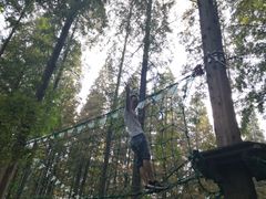 -黄海国家森林公园