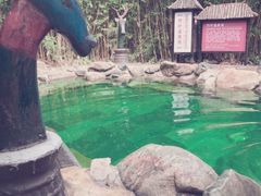 -森波拉火山温泉