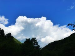 -青峰峡国家森林公园