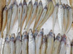 -隆都四季香饭店(碧海路店)