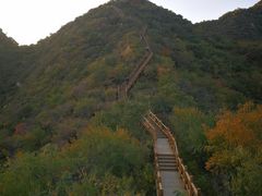-大岭沟猕猴桃谷风景区
