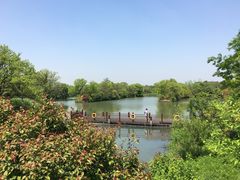 -西溪国家湿地公园