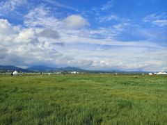 -敕勒川草原