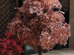 -北京园博大酒店