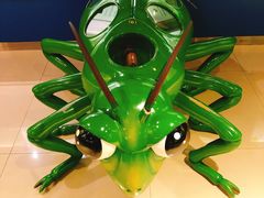 -上海昆虫博物馆