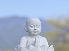 -庐山风景名胜区-东林大佛