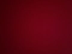 -巴陵全鱼席(湖南老字号汴河街店 )