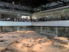 -自贡恐龙博物馆