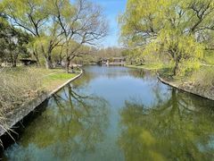 -上海共青森林公园