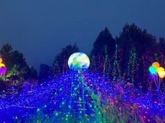 -济南国际园博园