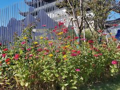 -苏州上方山国家森林公园