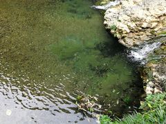 -华蓥山天意谷景区