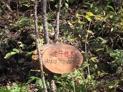 -望天鹅景区