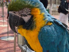 -水上乐园·欢乐世界