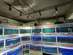 -黄记大闸蟹专卖店·活蟹·醉蟹