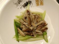 -新光酒家·河豚·海鲜·蟹料理(浦东店)