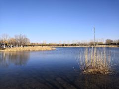 -永定河休闲森林公园