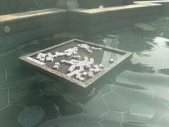 -苏州湾·王焰温泉