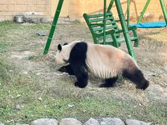 -杭州野生动物世界