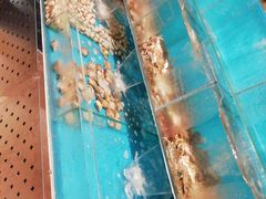 -富力希尔顿酒店·地阔自助餐厅