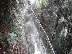 -九龙江国家森林公园