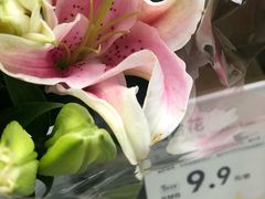 -鹿岛会员店 (龙湖三千集天街店)