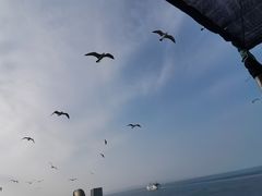 -长岛南北长山旅游景区