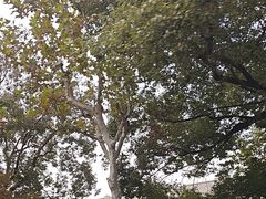 -九老汉·川渝江湖菜(合川路2店)