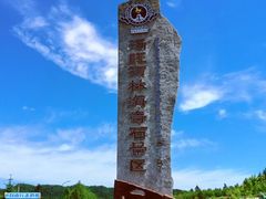-汤旺河林海奇石景区